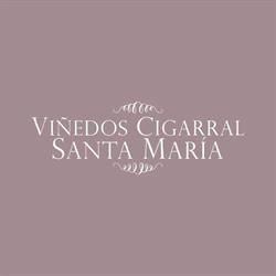 Horario de apertura Viñedos Cigarral Santa Maria, Toledo