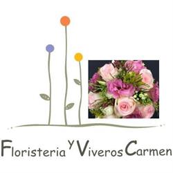 Horario de apertura Floristeria y Viveros Carmen, Medina de Ríoseco
