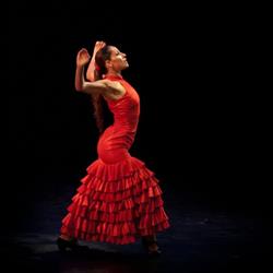 Horario de apertura Flamenco Export, Madrid