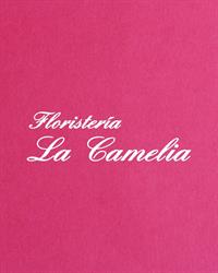 Floristería La Camelia en Vigo (Santiago De Vigo) - Horario de apertura