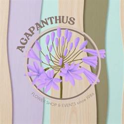 Floristeria Agapanthus Fax en Málaga (Cruz De Humilladero) - Horario de apertura