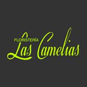Horario de apertura Floristeria las Camelias, Alcorcón