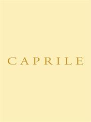 Lorenzo Caprile S.L. en Madrid (Salamanca) - Horario de apertura