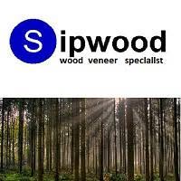 Horario de apertura Sipwood Sl, Alaquàs