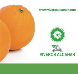 Horario de apertura Viveros Alcanar, 