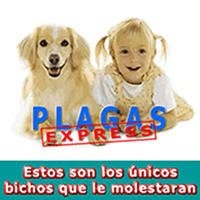 Horario de apertura Plagas Express, Las Palmas de Gran Canaria
