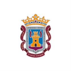 Horario de apertura Ayuntamiento de Motril, 
