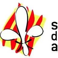Horario de apertura Scouts de Alicante,
