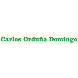 Horario de apertura Carlos Orduña Domingo- Clinica Dental, Valladolid