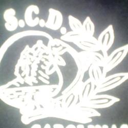 Horario de apertura S.c.d.carolinas, Alicante