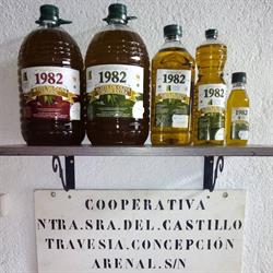Horario de apertura Cooperativa Olivarera Nuestra Señora Del Castillo, Chillón