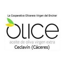 Horario de apertura Cooperativa Olivarera Virgen Del Encinar, Ceclavín