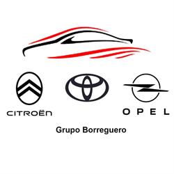 Horario de apertura Citroën Jose Borreguero Pino (Grupo Borreguero), Don Benito