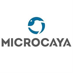 Microcaya S. L. en Bilbao (Errekalde) - Horario de apertura