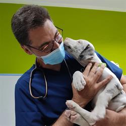 Horario de apertura Clinica Veterinaria La Selva S.c.p., Santa Coloma de Farners