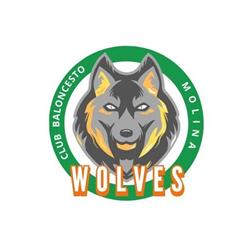 Horario de apertura Club Baloncesto Molina Wolves, Molina de Segura