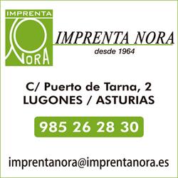 Horario de apertura Imprenta Nora, Lugones
