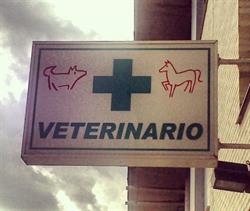 Horario de apertura Centro Veterinario Iregua Av. San Marcial, 26, Lardero