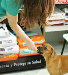 Horario de apertura Centro Veterinario Eurocan S.L., Guadarrama