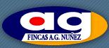 AG Núñez en Barcelona (08026) - Horario de apertura