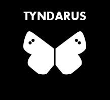 Horario de apertura Tyndarus S.l., Vitoria-Gasteiz