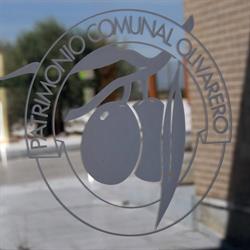 Horario de apertura Patrimonio Comunal Olivarero, Mora