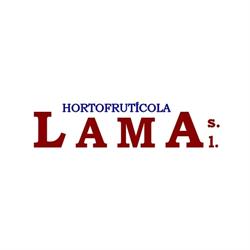 Horario de apertura Hortofruticola Lama S.l., Los Sauces