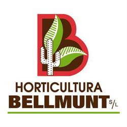 Horario de apertura Horticultura Bellmunt S.L., Cambrils