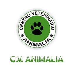 Centro Veterinario Animalia en Valencia (L'olivereta) - Horario de apertura