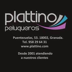 Plattino Peluqueros en Granada (Centro) - Horario de apertura