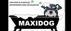 Horario de apertura Maxidog, Jávea
