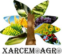 Horario de apertura Xarcemo, Lugo