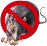 Ecoplaga - Control de Plagas en Pontevedra (Pontevedra) - Horario de apertura