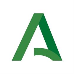 Horario de apertura Centro Andaluz de Arte Contemporáneo, Sevilla