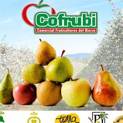 Horario de apertura S.a.t. Comercial Fruticultores Del Bierzo A., Carracedelo