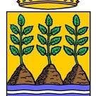 Horario de apertura Excelentisimo Ayuntamiento de Velez-Rubio, 