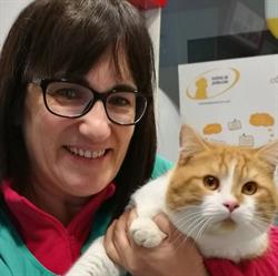 Horario de apertura Mascotes, Sant Carles de la Rapita