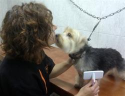 Horario de apertura Pro Animals Barcelona. Peluquería canina y tienda de productos para mascotas., 