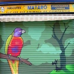 Horario de apertura Mascotas Mataro, 