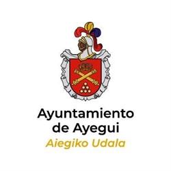 Horario de apertura Ayuntamiento de Ayegui, Aiegi