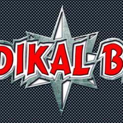 Horario de apertura Radikal Bike, Estepona