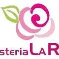 Horario de apertura Floristería La Rosa (Mª Dolores López Vaz), Valladolid