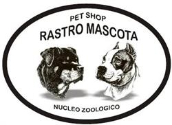 Horario de apertura Rastro Mascota, Madrid