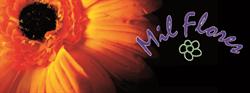 Horario de apertura Floristeria Mil Flores Servicio Interflora, Ávila