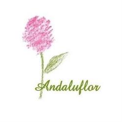 Horario de apertura Andaluflor, Llanos del Castillo