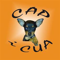 Horario de apertura Cap i Cua (Tienda y peluquería canina), Esplugues de Llobregat