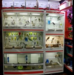 Pajareria Fauna Viva en Barcelona (Nou Barris) - Horario de apertura