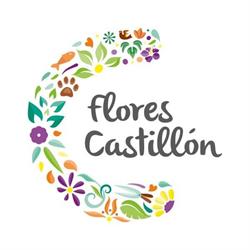 Horario de apertura Flores Castillon S.l., Barbastro