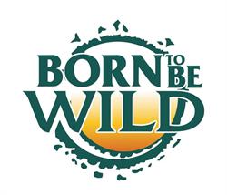 Horario de apertura Born To Be Wild, Marbella