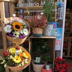 Horario de apertura Flors I Plantes Maruja, Barcelona